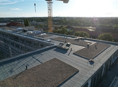 DJI_0754